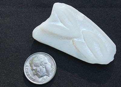 Rare Milk Glass Luster Leaves Wings Thick Genuine Beach Surf Tumbled