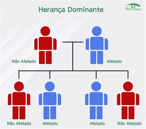 Os três principais padrões de herança Retina Brasil