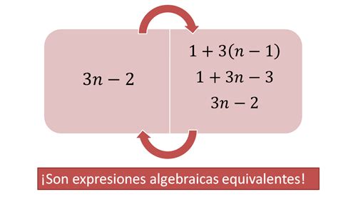 Sucesiones Ii Nueva Escuela Mexicana Digital