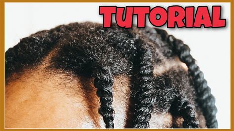 Two Strand Twist Protective Style For Thin Natural Hair Tutorial Youtube