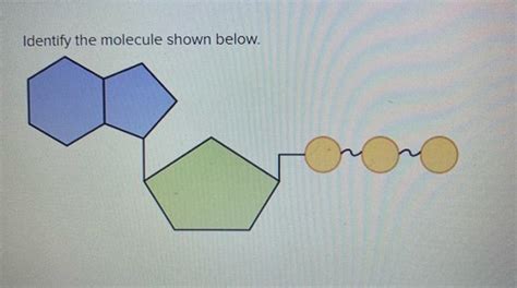 Bisc Ch Hw Flashcards Quizlet