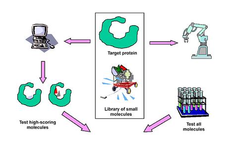 Docking Left And High Throughput Screening Right To Discover New Download Scientific