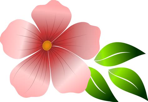 Download Flower, Pink Flower, Spring. Royalty-Free Vector Graphic - Pixabay