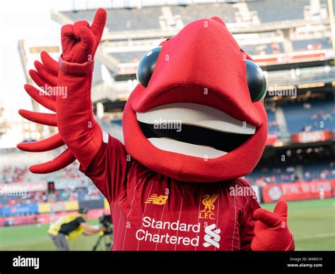 Mighty red mascot of liverpool fc hi-res stock photography and images ...