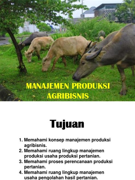 4b Manajemen Produksi Agribisnis Ppt