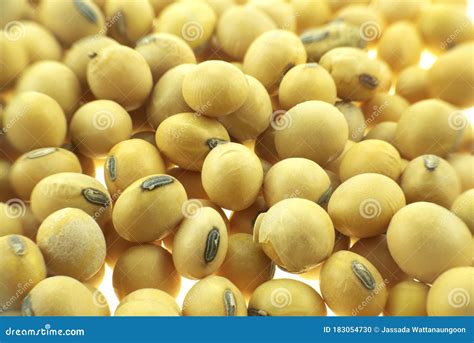 Yellow Soybean Seeds Background Stock Photo Image Of Food Cultivated