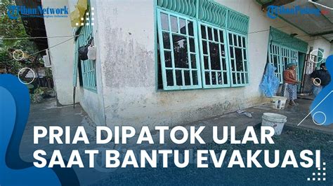 Hendak Evakuasi Warga Pria Di Solok Dipatok Ular Hingga Membiru Youtube