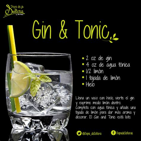 Arriba 65 Imagen Receta Del Gin Tonic Abzlocal Mx