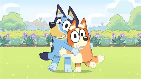 Bluey : ABC iview