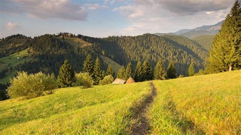 Prognoza meteo ANM pentru perioada 1 iunie 1 iulie în România