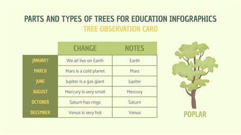 Parts And Types Of Trees For Education Infographics