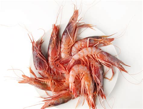 Gamba de Palamós INVENTARIO DIETA MEDITERRANEA