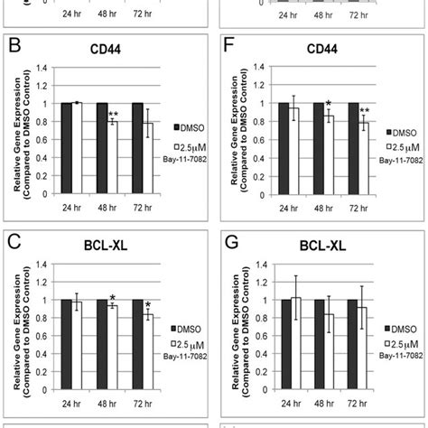 Bay 11 7082 Treatment Leads To Nf κb Inhibition And Down Regulation Of