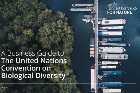 Read Our Business And Finance Guides To The UN Convention On Biological