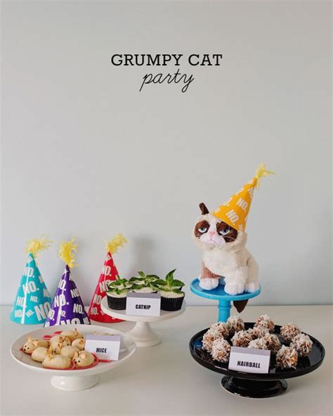 Grumpy cat party food Grumpy Cat Birthday, Cat Birthday Party, Birthday Parties, 9th Birthday ...