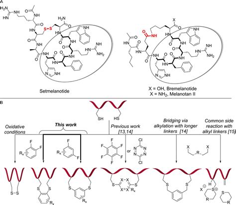 A Structure Of Setmelanotide And Bremelanotide Fda‐approved Drugs