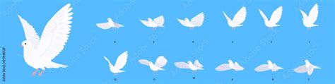 White Dove Flying Animation