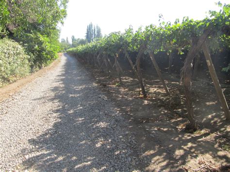 Ola De Calor Se Extiende A M S Zonas Frut Colas Fedefruta Pide