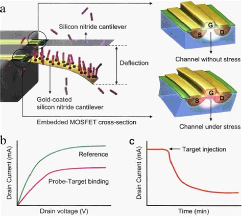 Microcantilever Sensors For Biochemical Detection