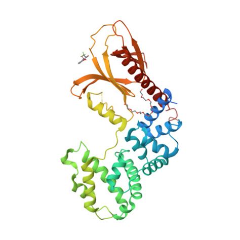 Rcsb Pdb 6fne Structure Of Human Brag2 Sec7 Ph Domains With The