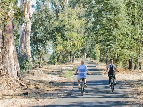 What are the roads like? • Napa Valley Bike Tours & Rentals