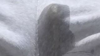 Hensachi36 S Porn Videos Pornhub