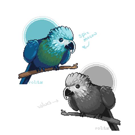 Nop On Twitter Rt Rolitae Birds Pixelart