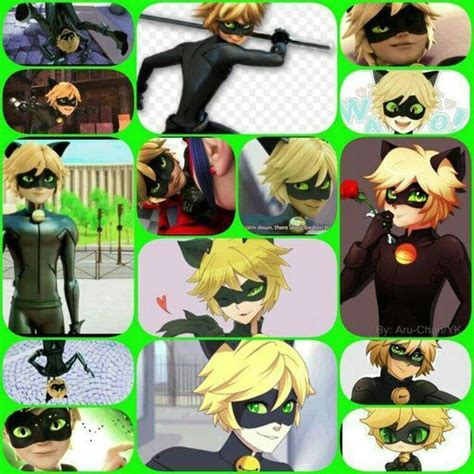 🐱🐱chat Noir🐱🐱 Wiki •miraculous Ladybug Español• Amino