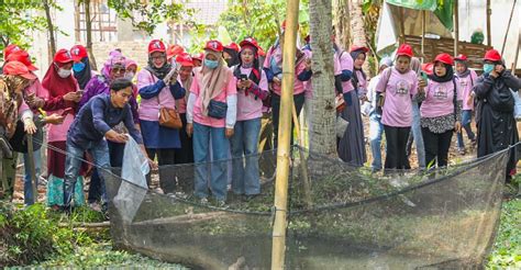 Relawan Srikandi Ganjar Sumsel Gelar Pelatihan Budi Daya Lele Di Palembang