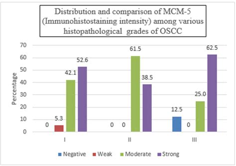 Assessment Of Immunohistochemical Expression Of Minichromosome