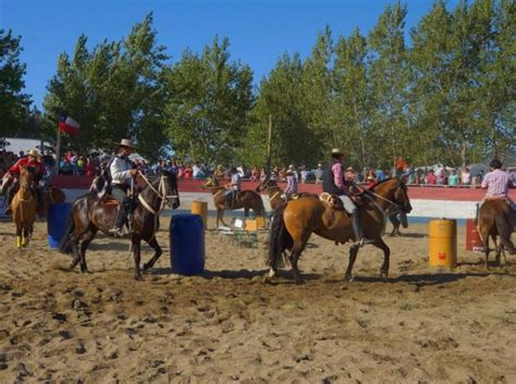 M S De Mil Personas Disfrutaron De La Feria Agropecuaria De Arauco