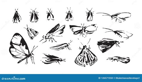 Set Of Hand Drawn Stylized Insects Sketch Style Vector Illustration Of