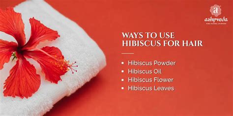 Hibiscus For Hair How To Use Benefits And More Ashpveda