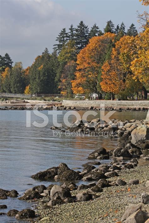 Stanley Park, Seawall, Vancouver Stock Photo | Royalty-Free | FreeImages