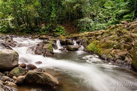 Randonnée cascade saut de la lézarde basse terre guadeloupe france