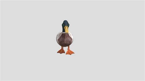 Duck Animation Download Free 3d Model By Icekic 4a95a53 Sketchfab