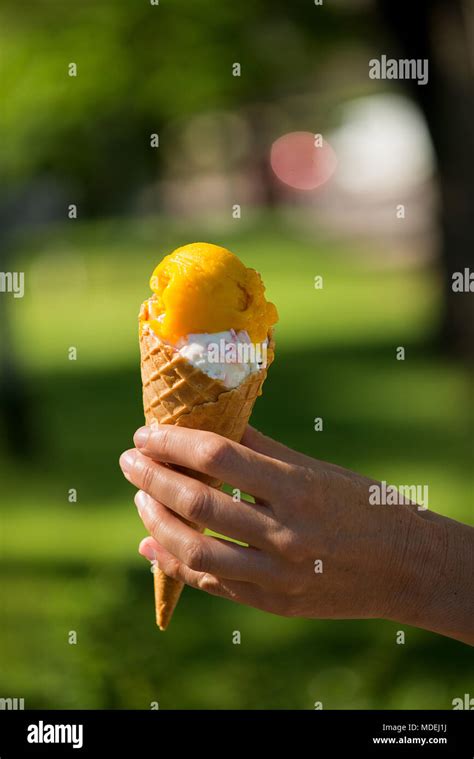 Woman S Hands Holding Melting Ice Cream Waffle Cone In Hands On Summer