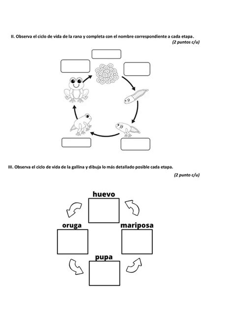 Los Seres Vivos Y La Naturaleza Para Segundo De Primaria Fichas Images Sexiz Pix