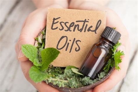 The 11 Best Essential Oils To Help Resolve Erectile Dysfunction And Enhance Sexual Power