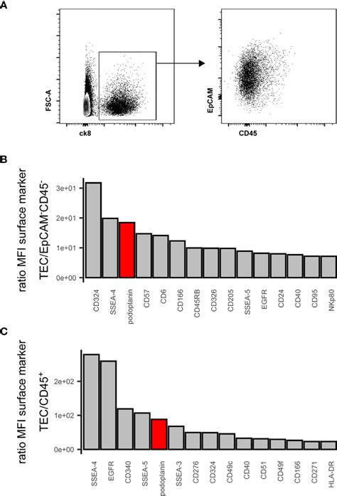 Frontiers Novel Combination Of Surface Markers For The Reliable And