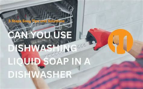 Can You Use Dishwashing Liquid Soap In A Dishwasher 5 Steps Easy Tips