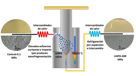 Aplicaciones De La Homogeneizaci N A Presi N Ultra Alta Uhph En