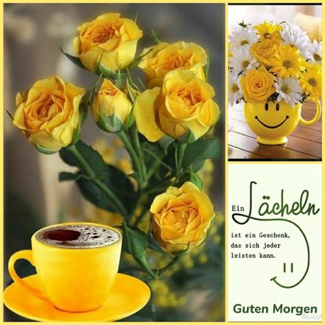 Pin von Eli Moos auf Tagesgruß Guten morgen blumen Guten morgen