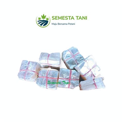 Jual Polybag Semai Polibek Bening Pot Kantong Semai 1000 Lembar