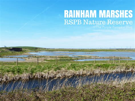 Rainham Marshes RSPB Nature Reserve | The Purple Pumpkin Blog | Nature ...