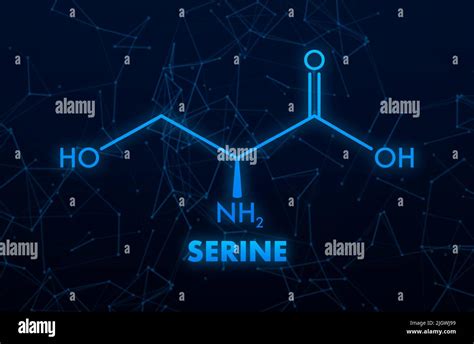 Serine Formula Serine Or L Serine Ser S Amino Acid Molecule Stock