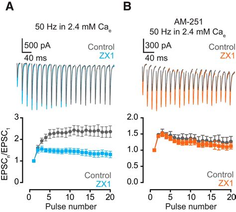 Context Dependent Modulation Of Excitatory Synaptic Strength By