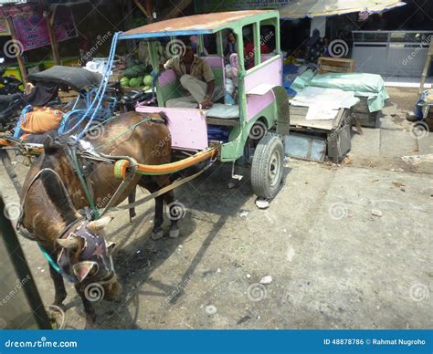 Pedicabs editorial photo. Image of tricycles, culture - 48878786