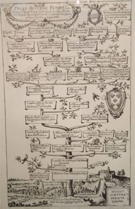 Drzewo genealogiczne co to jest jak wygląda KIM ONI BYLI