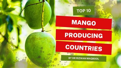 Top Ten Mango Producing Countries Youtube